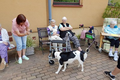 Návštěva cvičené fenky Nelly