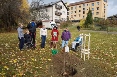 Sázení lípy republiky