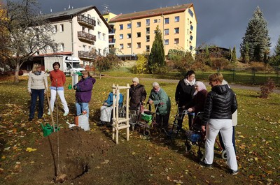 Sázení lípy republiky