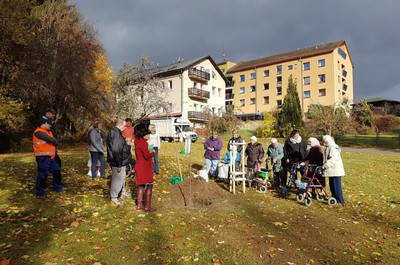 Sázení lípy republiky