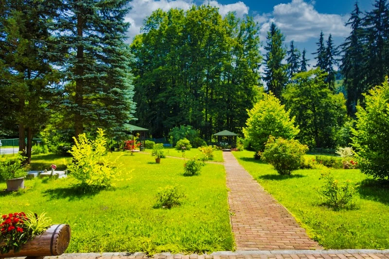 Park u budovy - Domov důchodců Rokytnice nad Jizerou, p.o.